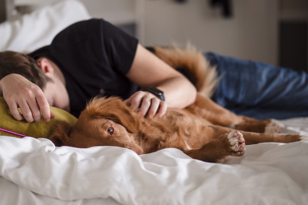 person in black shirt lying on bed