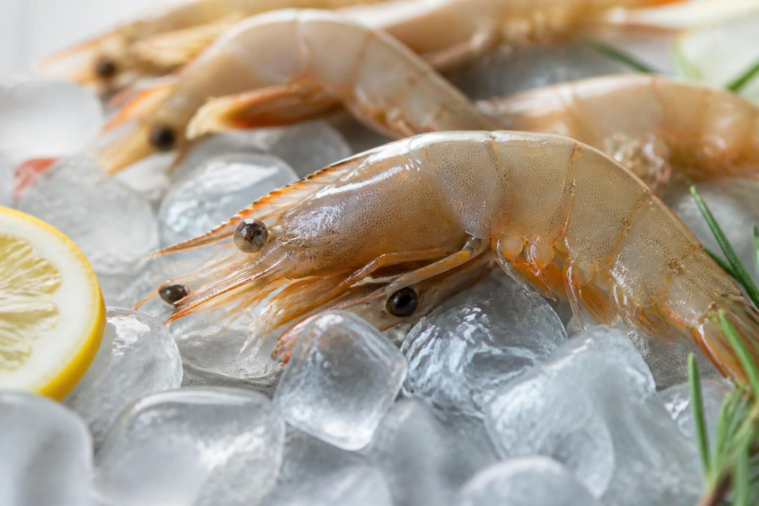 découvrez combien de calories contiennent les crevettes, un fruit de mer apprécié des sportifs pour leur apport nutritif et leur faible teneur en calories.