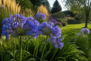 découvrez comment l'agapanthe peut embellir votre jardin cet été, en apportant couleur et élégance à vos espaces verts estivaux grâce à ses fleurs généreuses et faciles à entretenir.