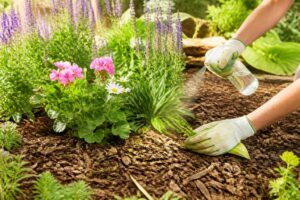 découvrez des solutions naturelles et efficaces pour désherber votre jardin sans utiliser de produits chimiques, afin de préserver la santé de vos plantes et de l'environnement.