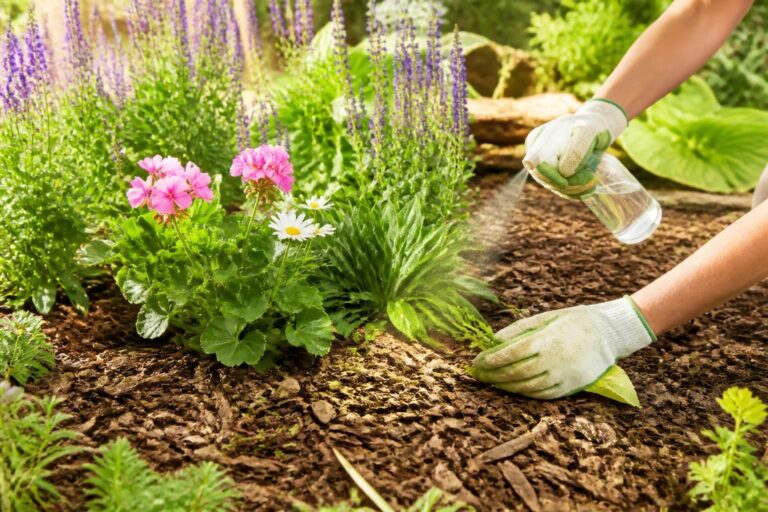 découvrez des solutions naturelles et efficaces pour désherber votre jardin sans utiliser de produits chimiques, afin de préserver la santé de vos plantes et de l'environnement.