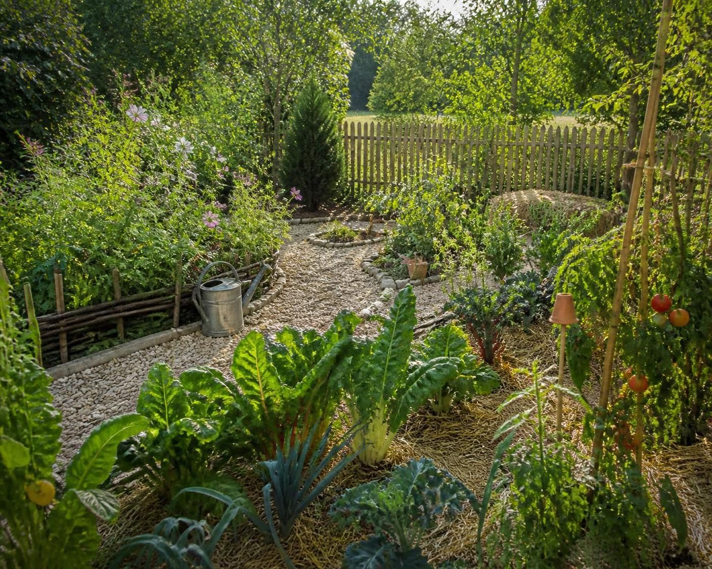 découvrez des solutions naturelles et efficaces pour désherber votre jardin sans recourir aux produits chimiques, afin de préserver l'environnement et la santé de vos plantes.
