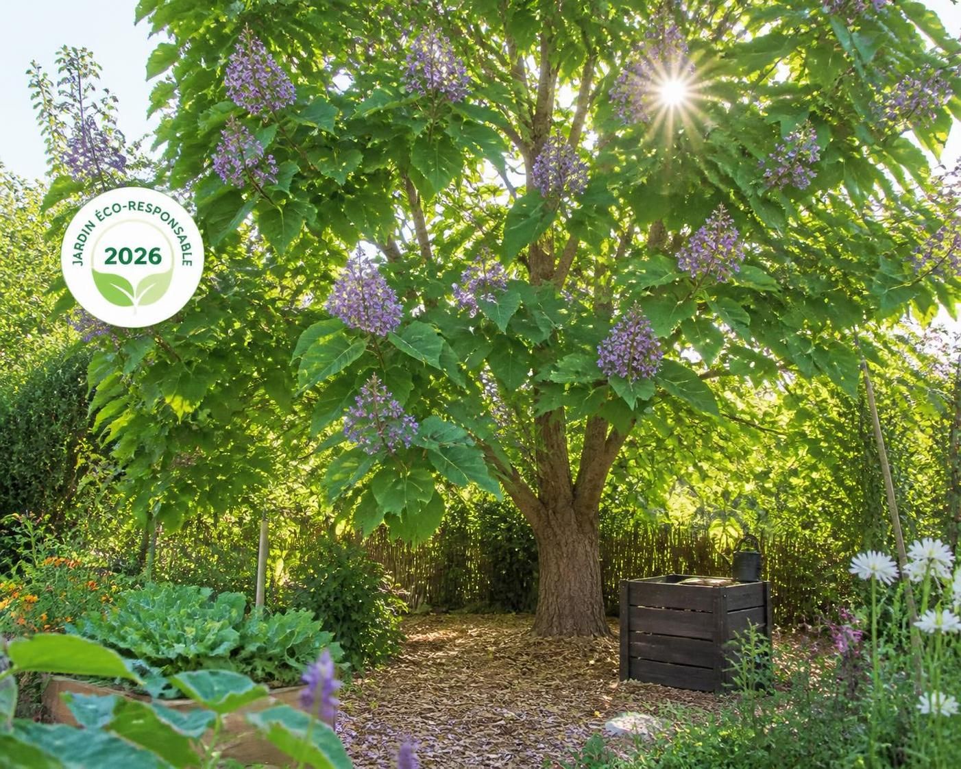 découvrez le paulownia, l’arbre miracle idéal pour un jardin éco-responsable, reconnu pour sa croissance rapide et ses nombreux bienfaits environnementaux.