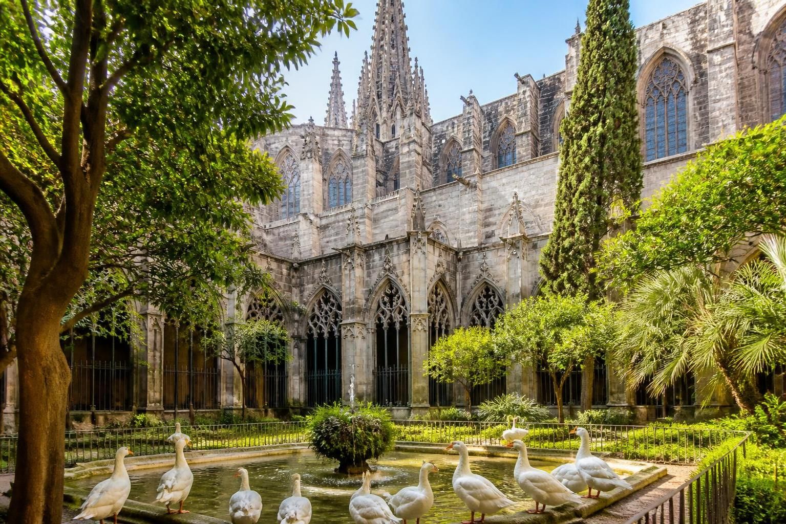 découvrez pourquoi la cathédrale santa eulalia captive les passionnés d'art gothique grâce à son architecture spectaculaire, ses vitraux remarquables et son riche patrimoine historique.