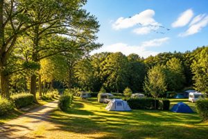 découvrez le camping la musardière à milly la forêt, un havre de paix en pleine nature pour des vacances ressourçantes et authentiques.